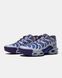 Кросівки Nike Air Max Plus Drift Concord 18051-Мультиколір-41 фото 3