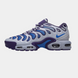 Кросівки Nike Air Max Plus Drift Concord 18051-Мультиколір-41 фото 1