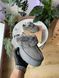 Уггі UGG Funkette Platform Grey 18082-Сірий-36 фото 4